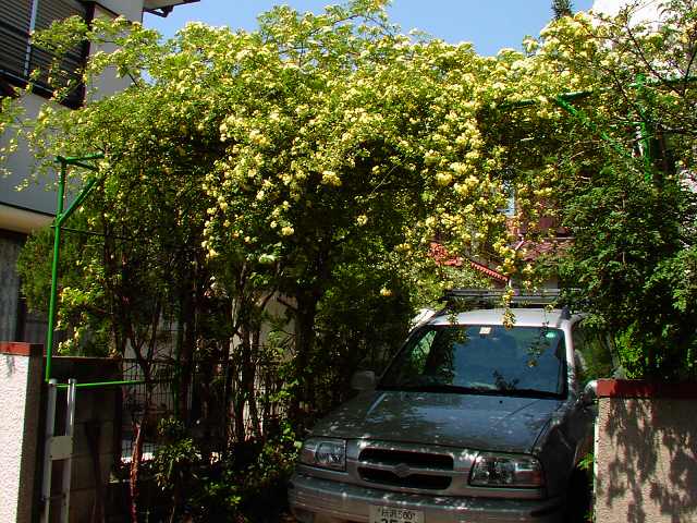 ���b�R�E�o��