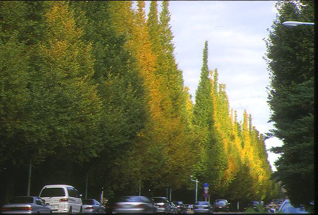 �_�{�O���̋��